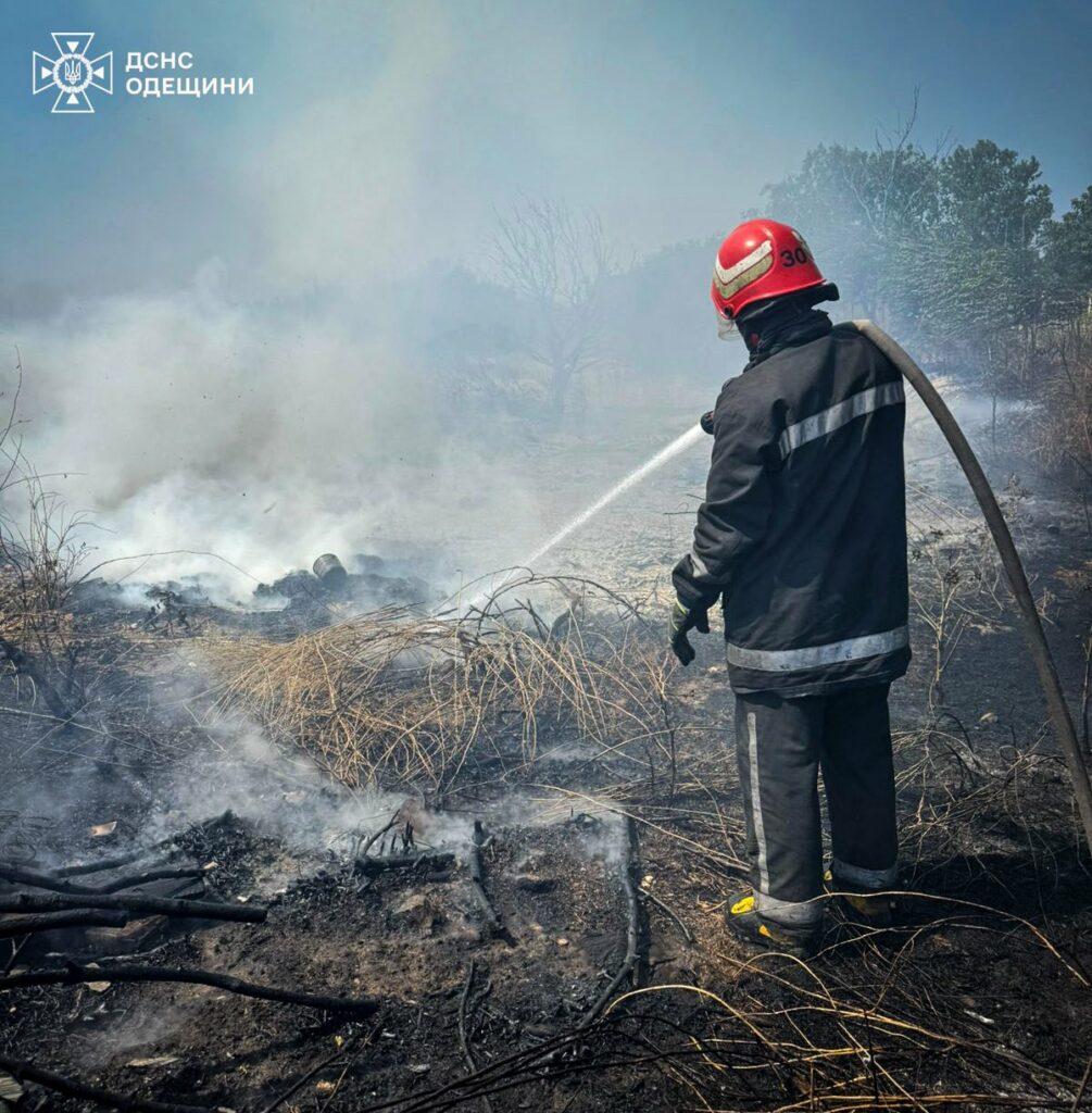 Пожежі на Одещині завдали екології збитків на 28 мільярдів гривень