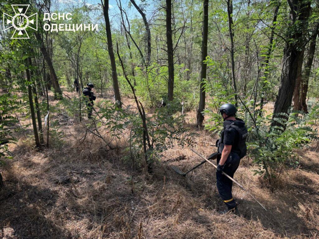 Одеські піротехніки розміновують деокуповані території
