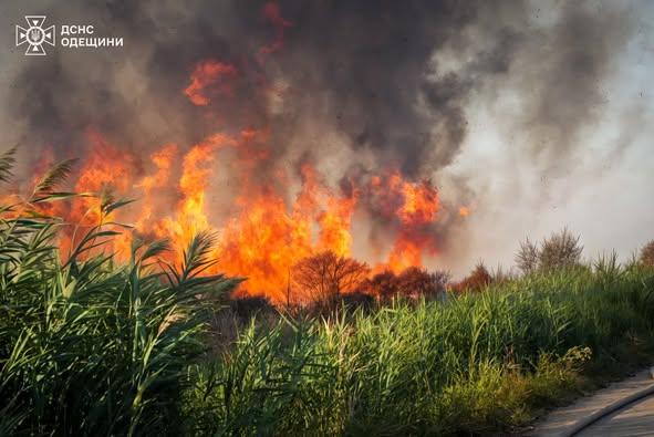 Одеса: внаслідок пожежі на Хаджибейській дорозі в атмосферу потрапили понад шість тисяч тонн забруднювальних речовин