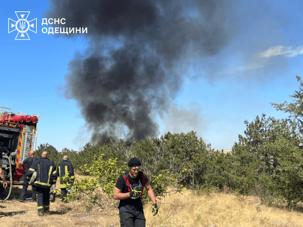 В Одесской области тушили масштабный пожар на территории лесничества