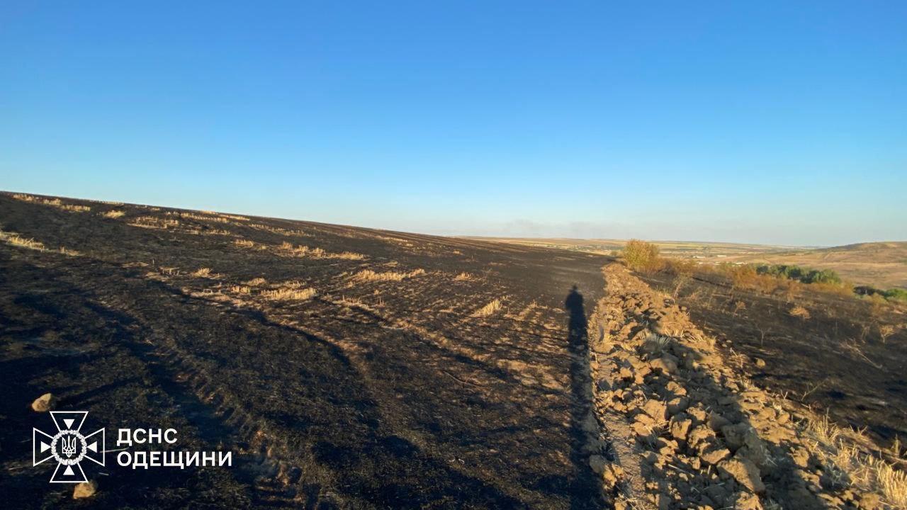 На Одещині вогонь охопив гектари стерні та пошкодив господарські будівлі (фото)