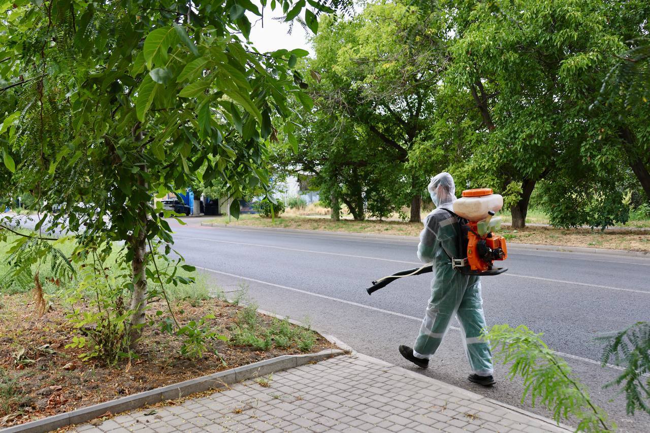 В Одесі комунальники борються з амброзією