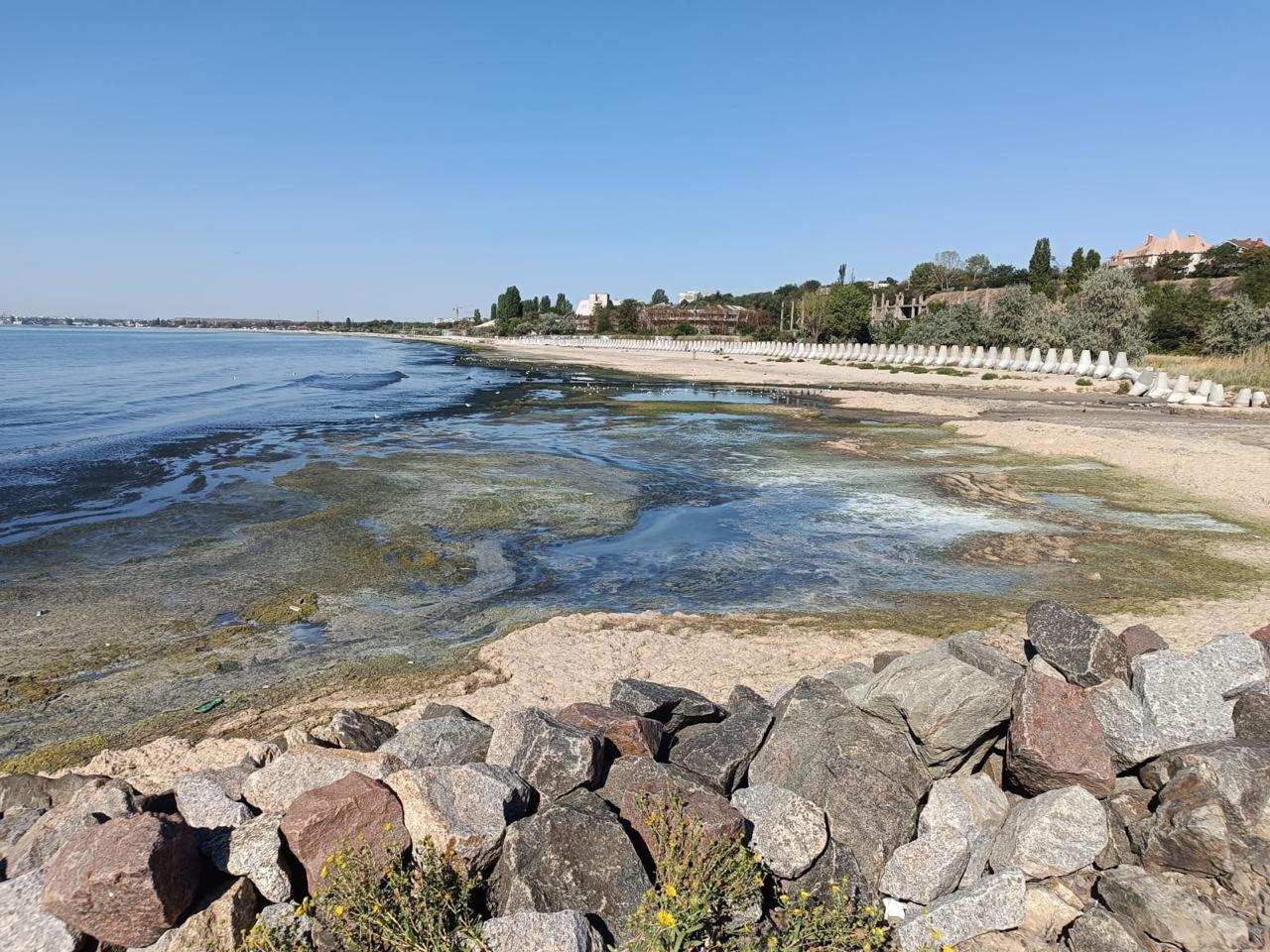 «Почерневшее море» в Крыжановке: специалисты зафиксировали нехватку кислорода и опасное для водных организмов токсичное соединение «Почерневшее море» в Крыжановке: специалисты зафиксировали нехватку кислорода и опасное для водных организмов токсичное соединение