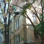 В Одессе этой осенью планируют посадить около тысячи молодых деревьев