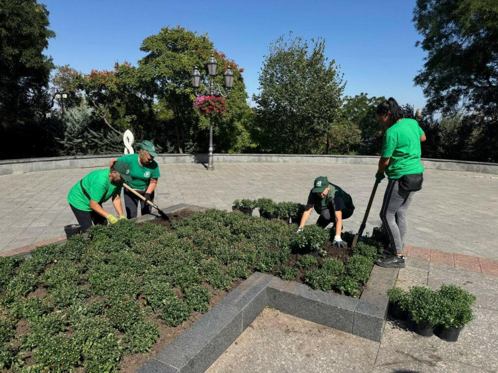 Десять тысяч кустов хризантем осенью украсят Одессу