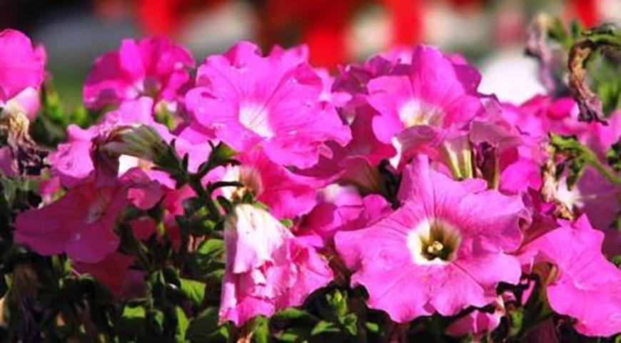 Прогноз погоди на 16 вересня в Одесі та області