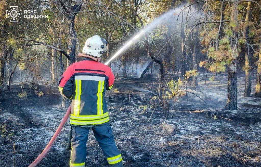 Збитки на 30 мільярдів гривень: масштабні пожежі охопили Одещину