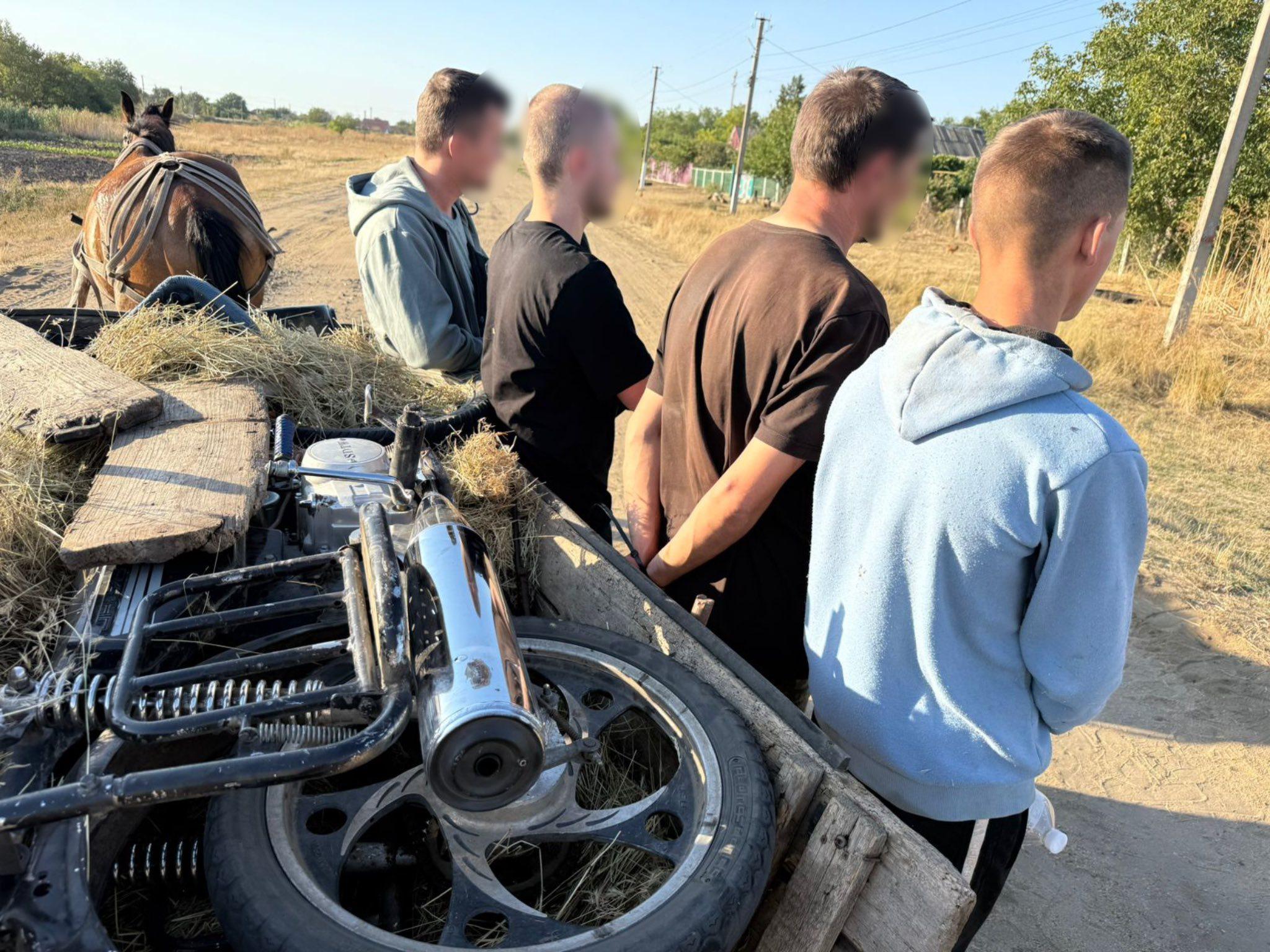 На підводі до Молдови: одеські прикордонники завадили переправці чоловіків На підводі до Молдови: одеські прикордонники завадили переправці чоловіків