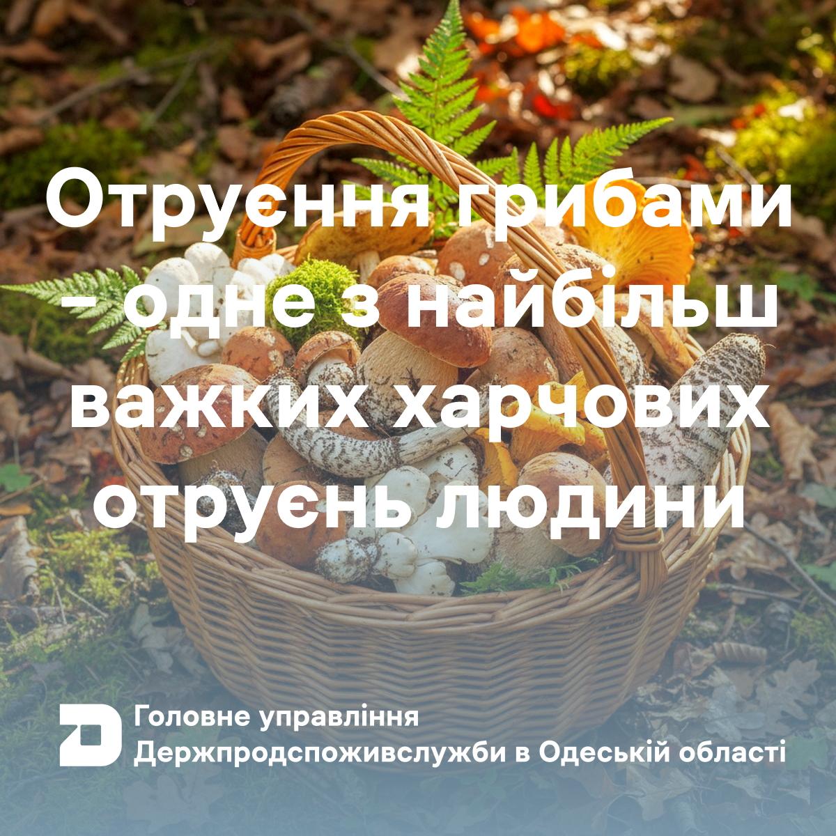 Мешканцям Одещини нагадали про ризики вживання дикорослих грибів
