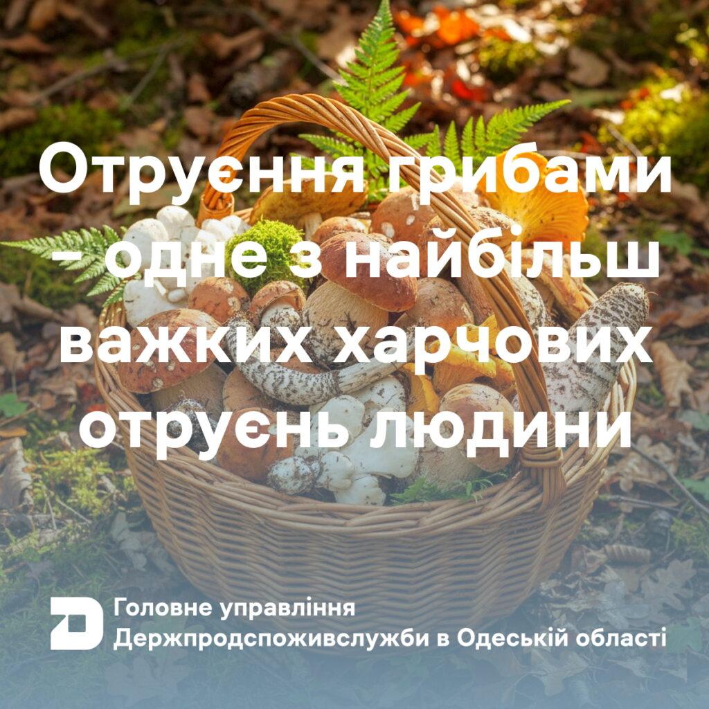 Грибний сезон: цьогоріч на Одещині зареєстрували один випадок отруєння