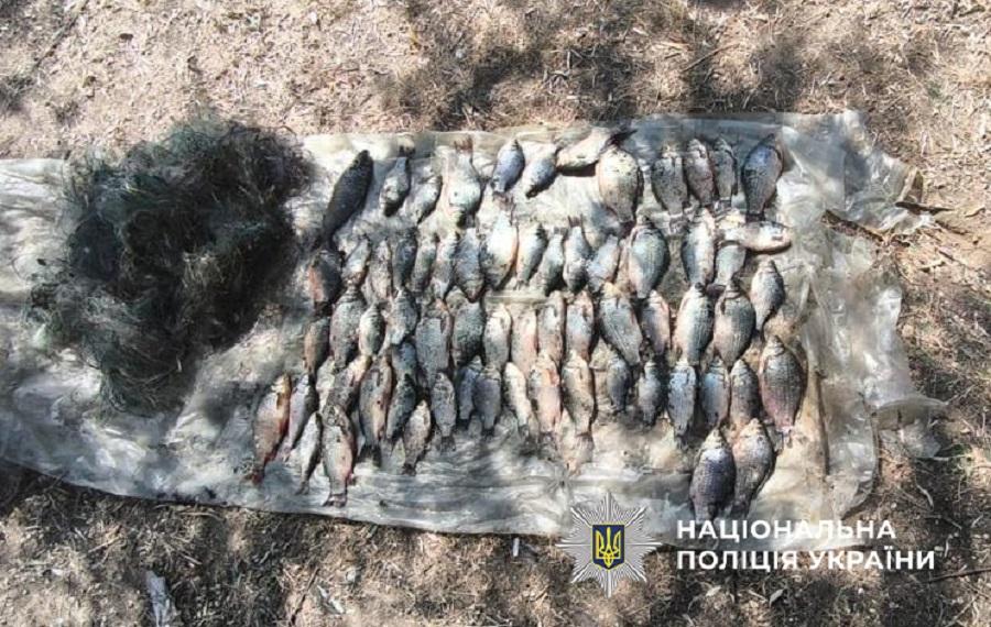 На Одещині спіймали браконьєра: рибалка завдав збитків на 100 тисяч гривень На Одещині спіймали браконьєра: рибалка завдав збитків на 100 тисяч гривень