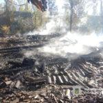 Сгорели киоски и деревянные домики базы отдыха: в Одесской области разыскали мужчину, устроившего масштабный пожар (фото)