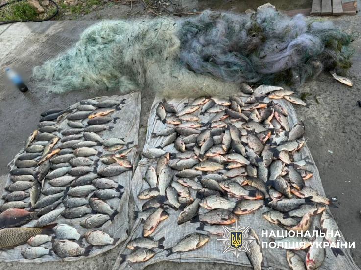 В Одесской области рыбак заплатит более 350 тысяч гривен за незаконный вылов рыбы