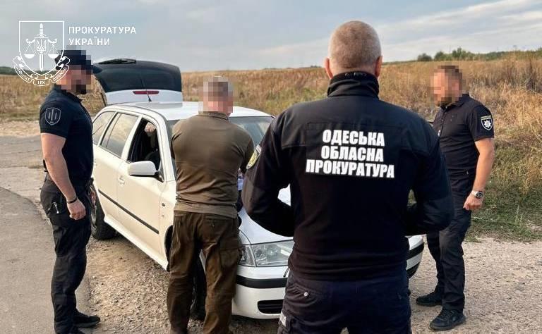 Прокуратура Одещини: службові оборудки в «Лісах України» та незаконна порубка завдали екології шкоди на 157 мільйонів