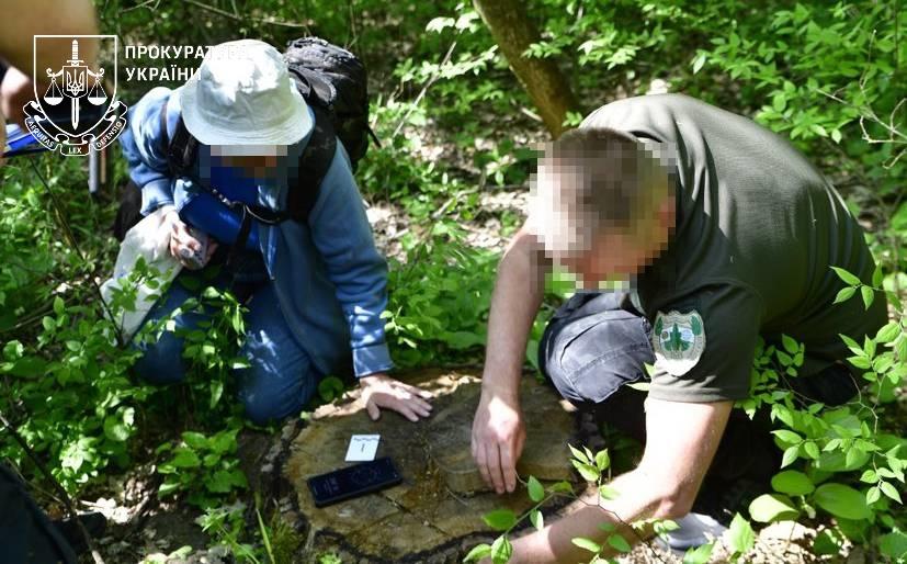 Прокуратура Одещини: службові оборудки в «Лісах України» та незаконна порубка завдали екології шкоди на 157 мільйонів