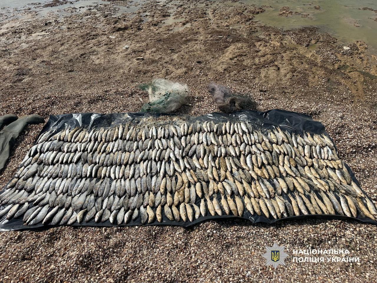 У нацпарку на Одещині молодик незаконно ловив кефаль