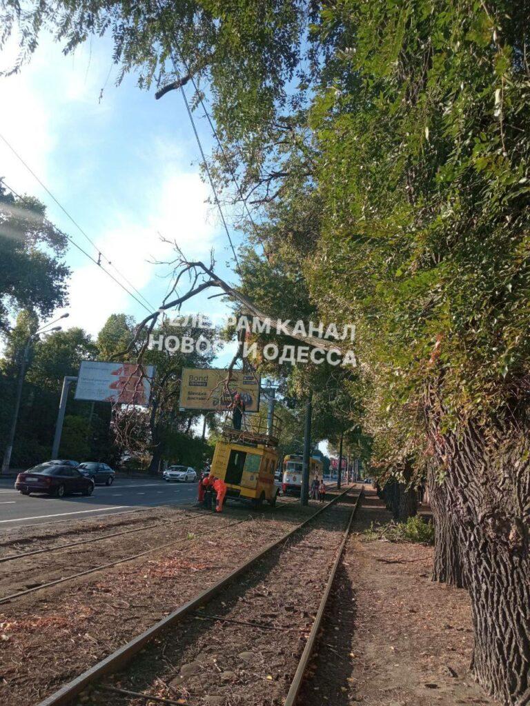 В Одессе из-за падения деревьев остановился электротранспорт В Одессе из-за падения деревьев остановился электротранспорт