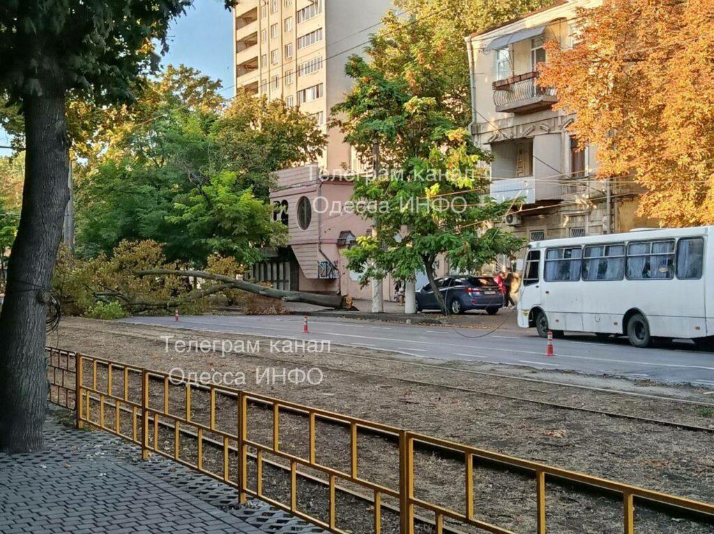 В Одессе из-за падения деревьев остановился электротранспорт В Одессе из-за падения деревьев остановился электротранспорт