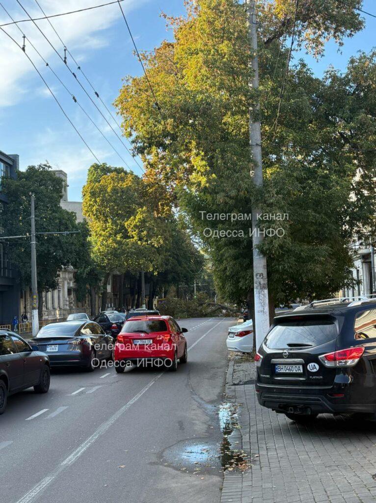 В Одессе из-за падения деревьев остановился электротранспорт В Одессе из-за падения деревьев остановился электротранспорт