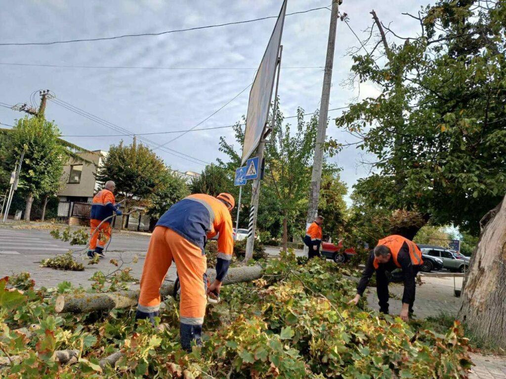 Одеські комунальники прибирають повалені вітром дерева