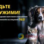В Одессе застрелили бездомную собаку: полиция начала уголовное производство
