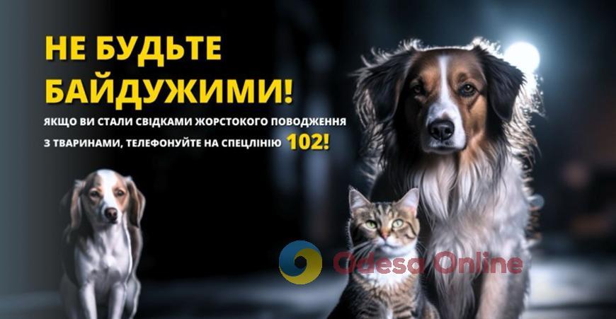 В Одессе застрелили бездомную собаку: полиция начала уголовное производство