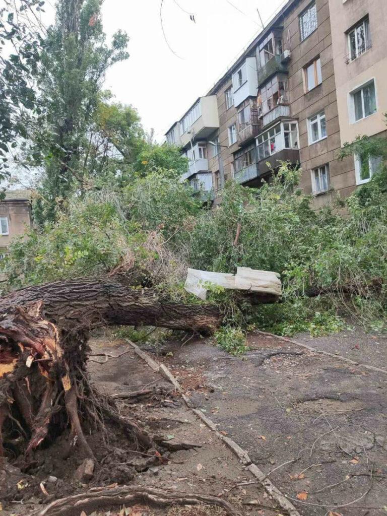 Внаслідок негоди в Одесі повалено 70 дерев