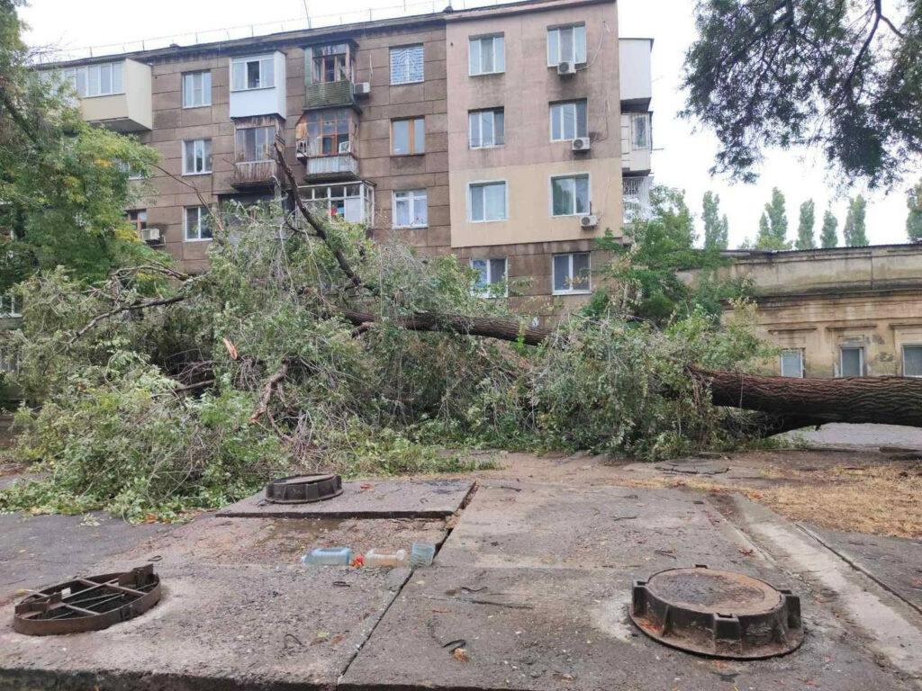Внаслідок негоди в Одесі повалено 70 дерев