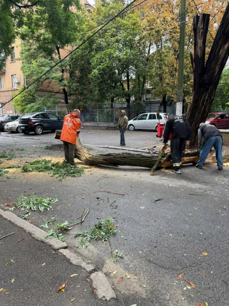Внаслідок негоди в Одесі повалено 70 дерев