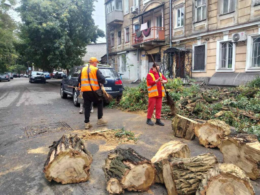 Внаслідок негоди в Одесі повалено 70 дерев