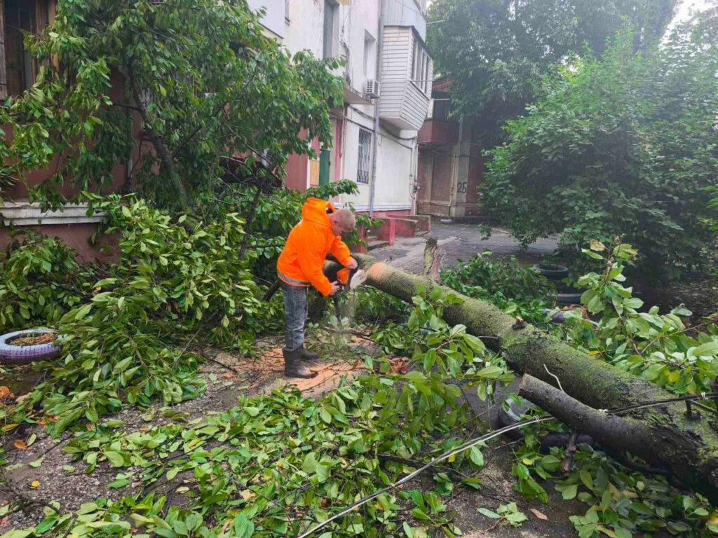 Внаслідок негоди в Одесі повалено 70 дерев