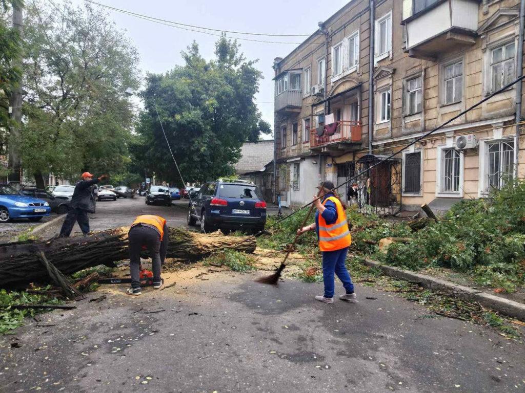 Внаслідок негоди в Одесі повалено 70 дерев