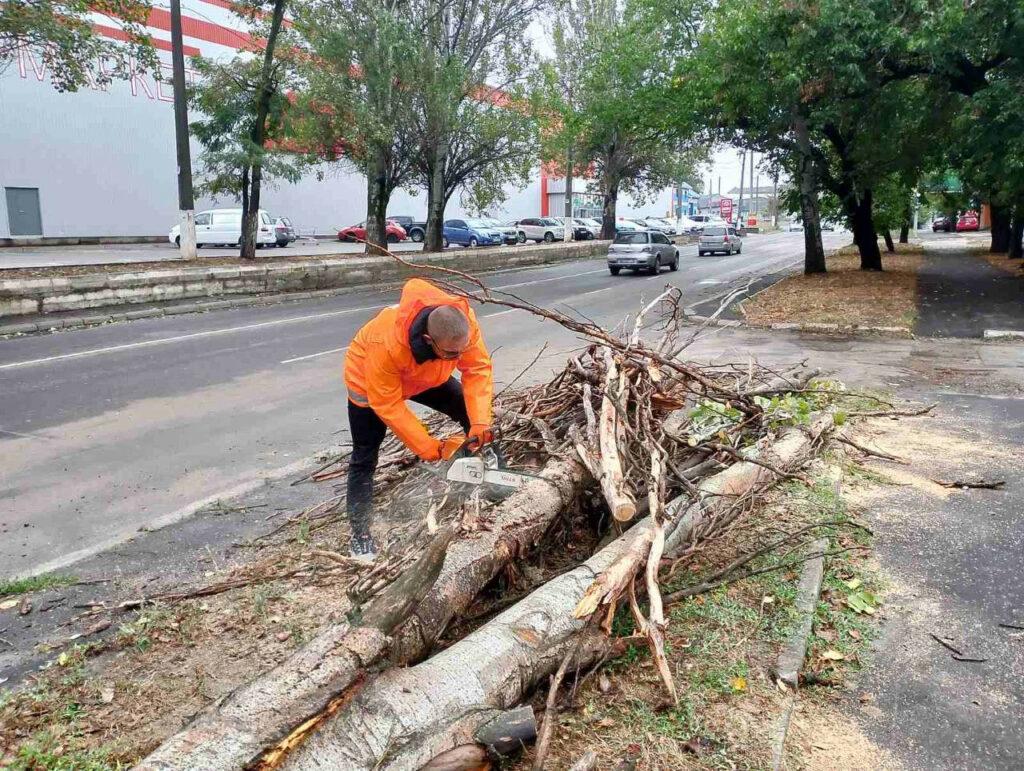 Внаслідок негоди в Одесі повалено 70 дерев