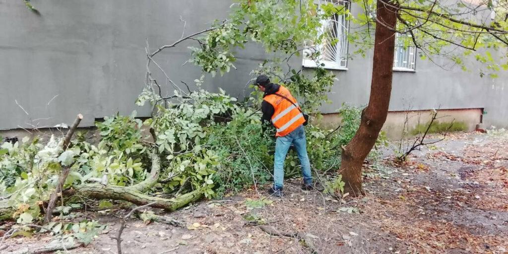 Внаслідок негоди в Одесі повалено 70 дерев