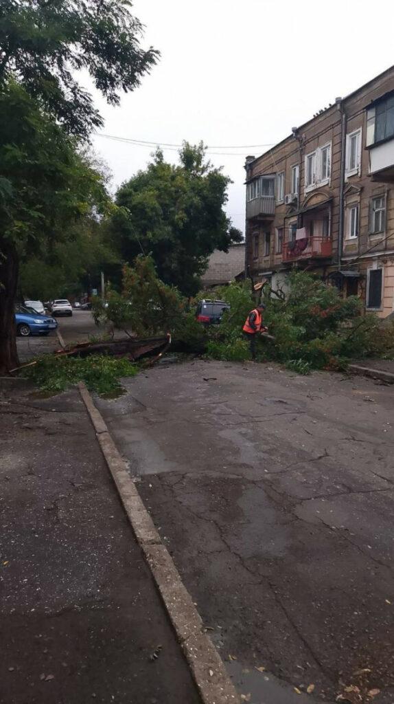 Внаслідок негоди в Одесі повалено 70 дерев