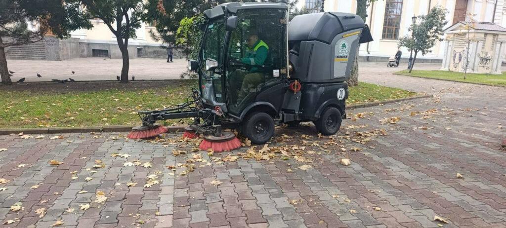 В Одессе высадят больше тысячи молодых деревьев