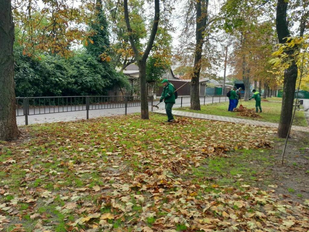 В Одессе высадят больше тысячи молодых деревьев