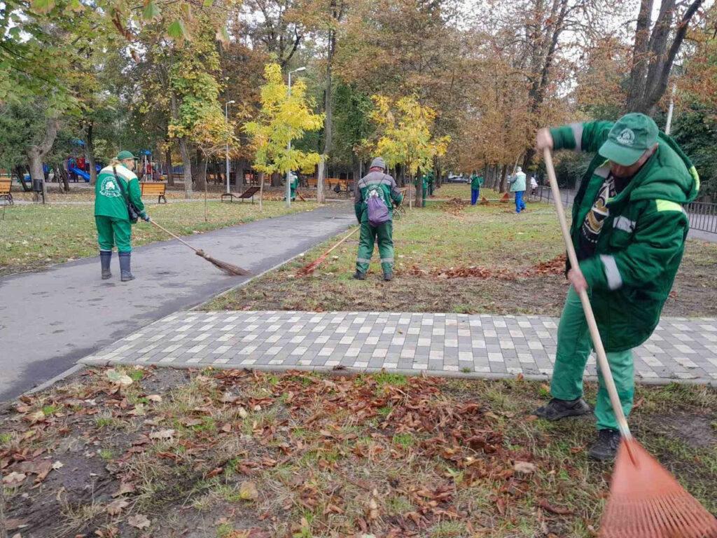 В Одессе высадят больше тысячи молодых деревьев