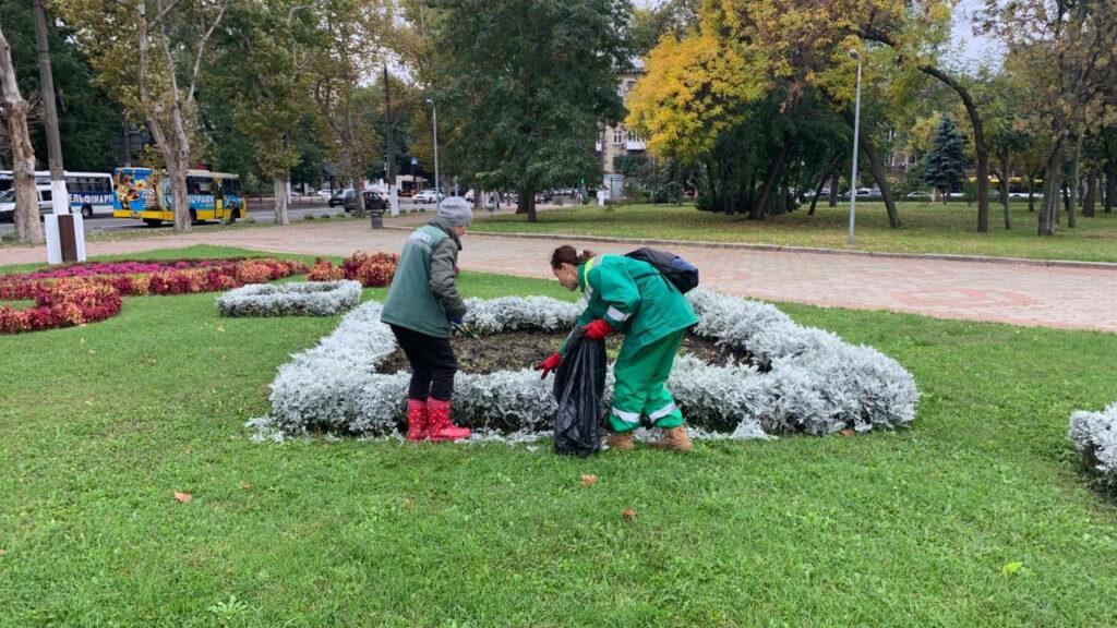 В Одессе высадят больше тысячи молодых деревьев