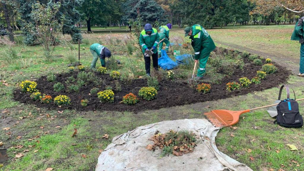В Одессе высадят больше тысячи молодых деревьев