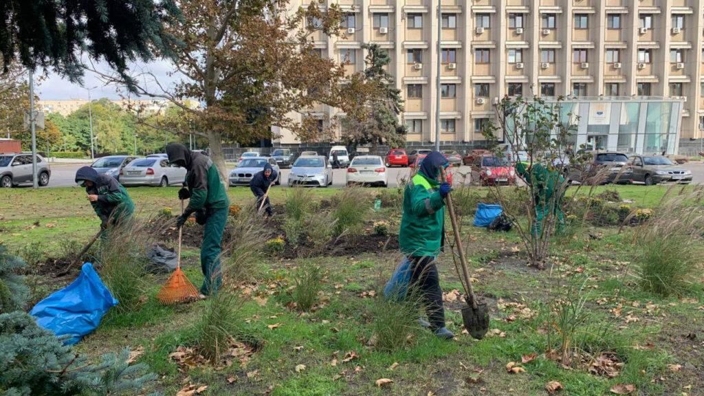 В Одессе высадят больше тысячи молодых деревьев