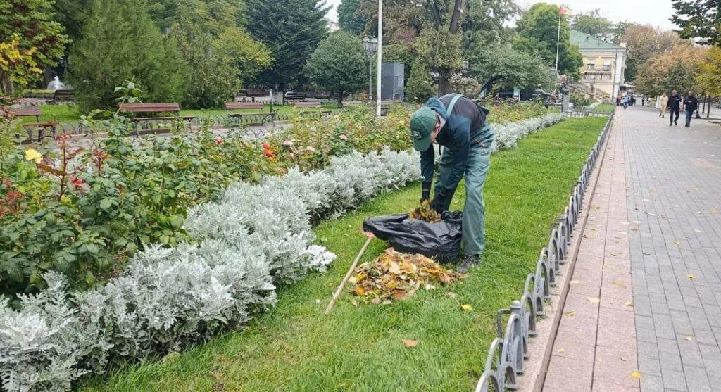 В Одессе высадят больше тысячи молодых деревьев