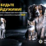 Стрелял из ружья в собаку: жителю Одесского района сообщили о подозрении
