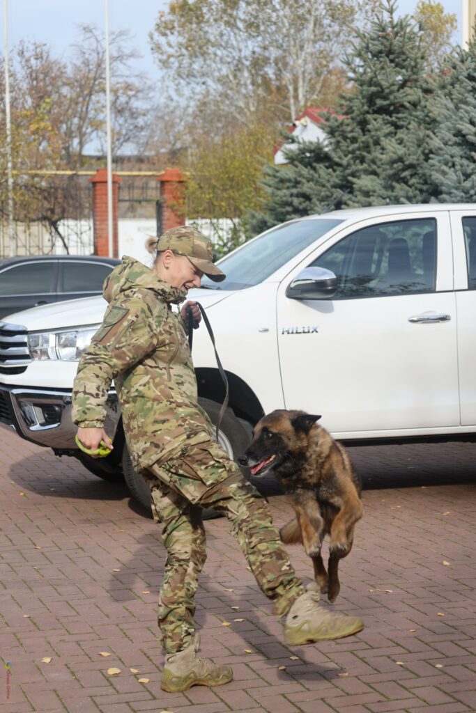 Поліцейські собаки, які лікують душі: у кінологічному центрі Одещини допомагають відновлювати спокій і віру в життя