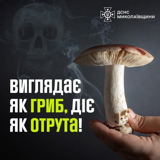 Подросток отравился дикорастущими грибами в Николаевской области