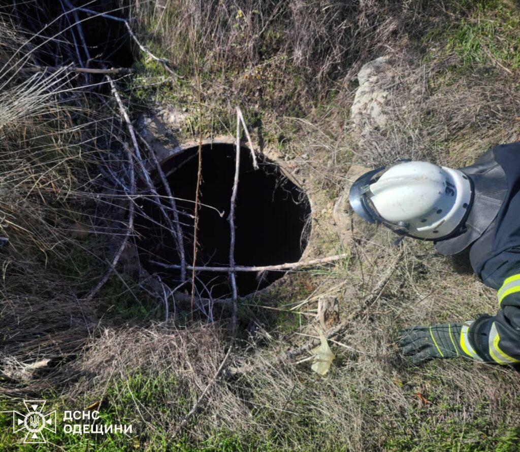 На Одещині врятували цуценя, що впало в глибокий колодязь На Одещині врятували цуценя, що впало в глибокий колодязь