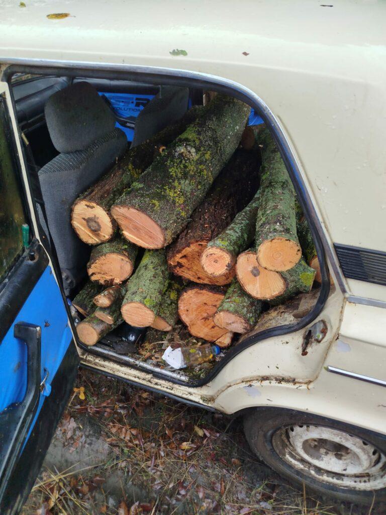 Незаконна вирубка дерев на Одещині: порушників притягнули до відповідальності Незаконна вирубка дерев на Одещині: порушників притягнули до відповідальності