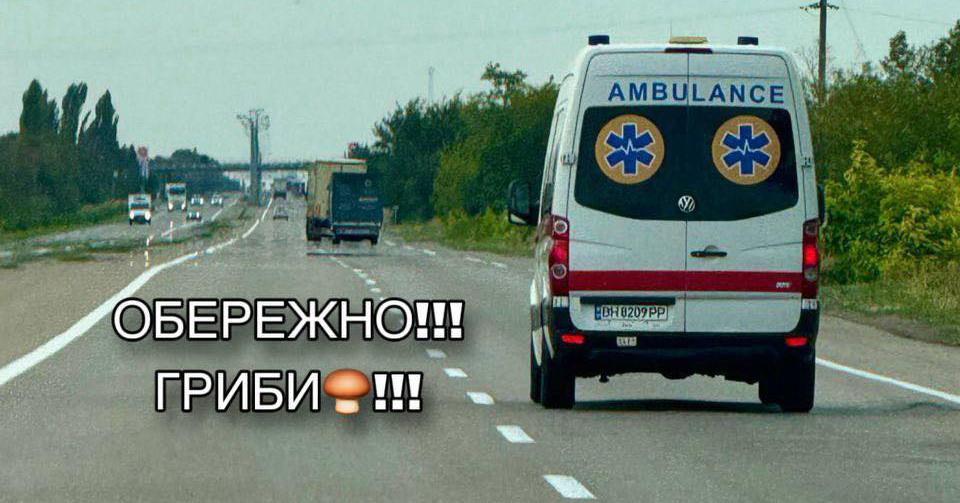 В Одесской области участились отравления грибами В Одесской области участились отравления грибами