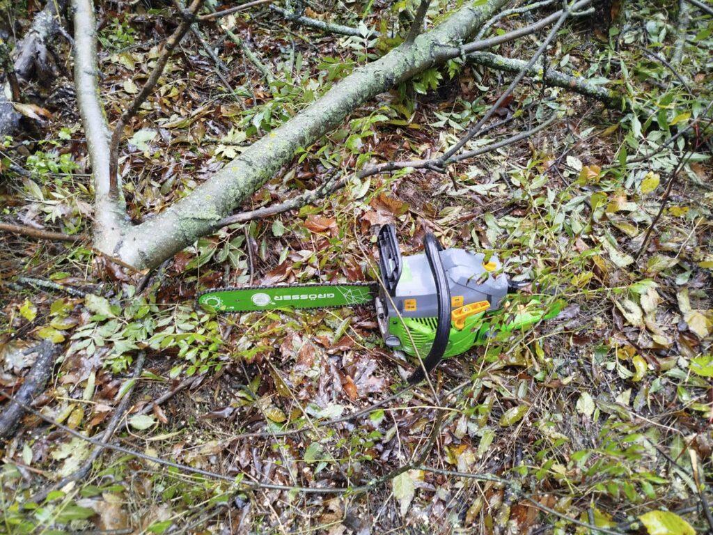 Незаконна вирубка дерев на Одещині: порушників притягнули до відповідальності Незаконна вирубка дерев на Одещині: порушників притягнули до відповідальності