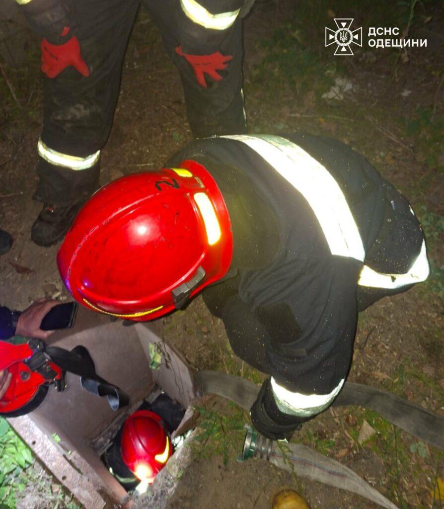 В Одесі врятували домашнього улюбленця, який опинився в пастці